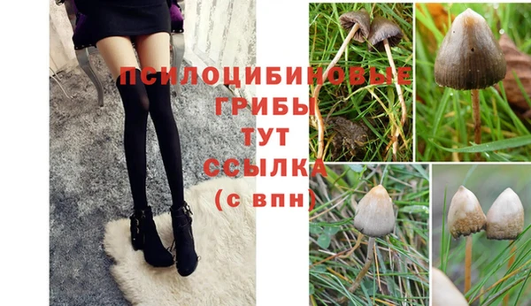mdma Медвежьегорск