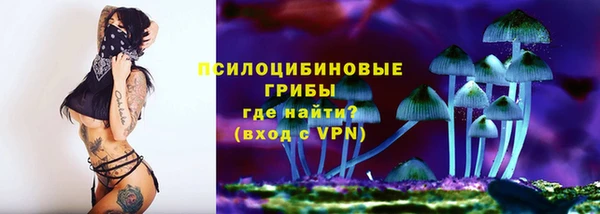 прущая мука Медногорск
