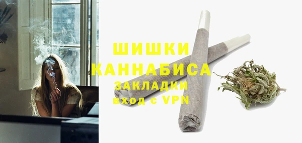 молекула духа Мегион
