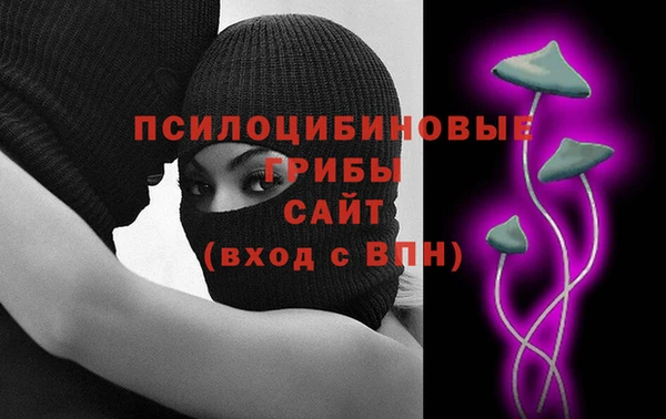 mdma Медвежьегорск