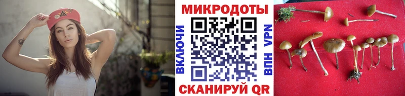 Купить закладки  Алзамай  Псилоцибиновые грибы прущие грибы 